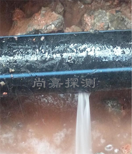 平安消防管道漏点探测